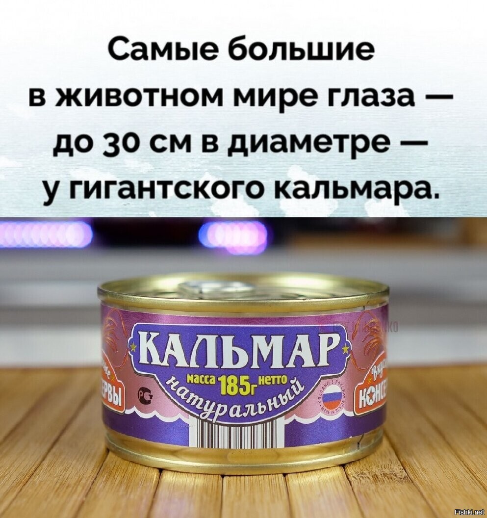 Как глаза в банку вмещаются