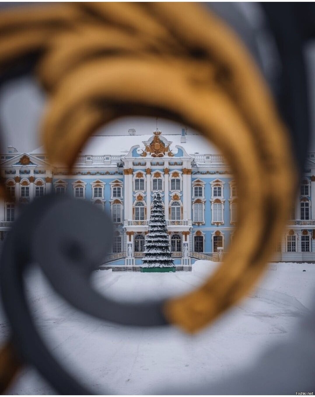 Солянка