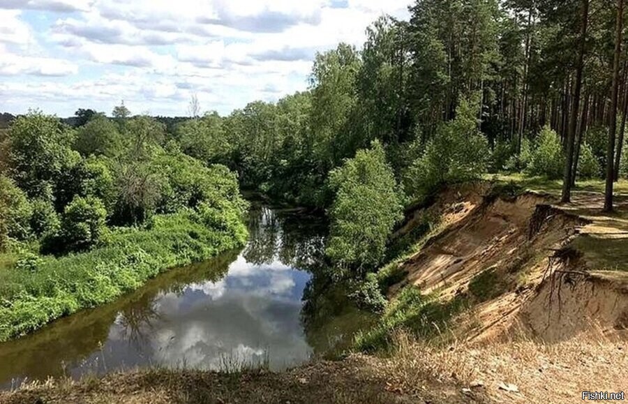 Солянка