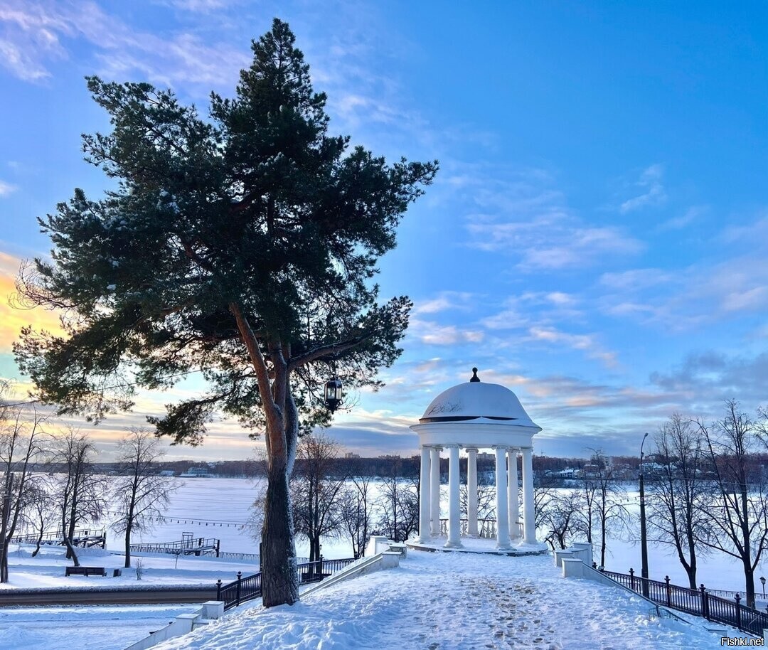 Солянка