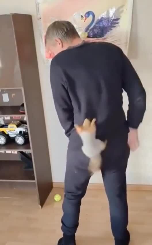 Когда выпил лишнее)