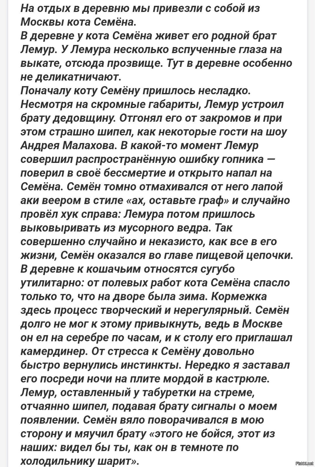 Солянка