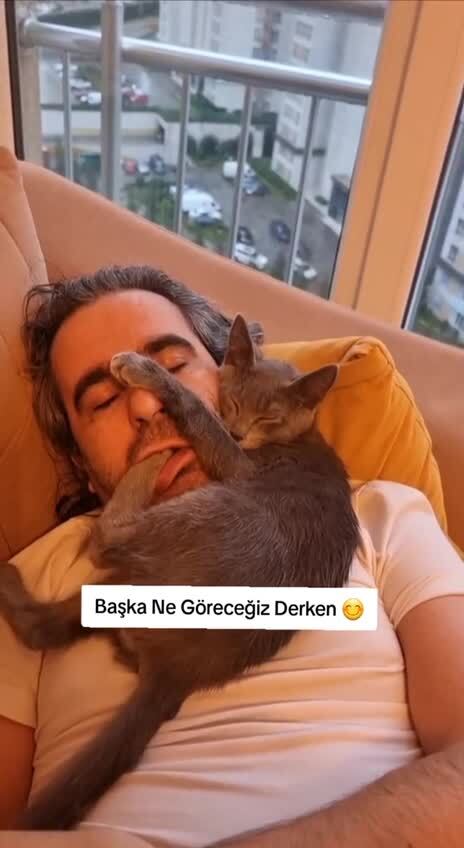 Батя не хочет заводить кота
