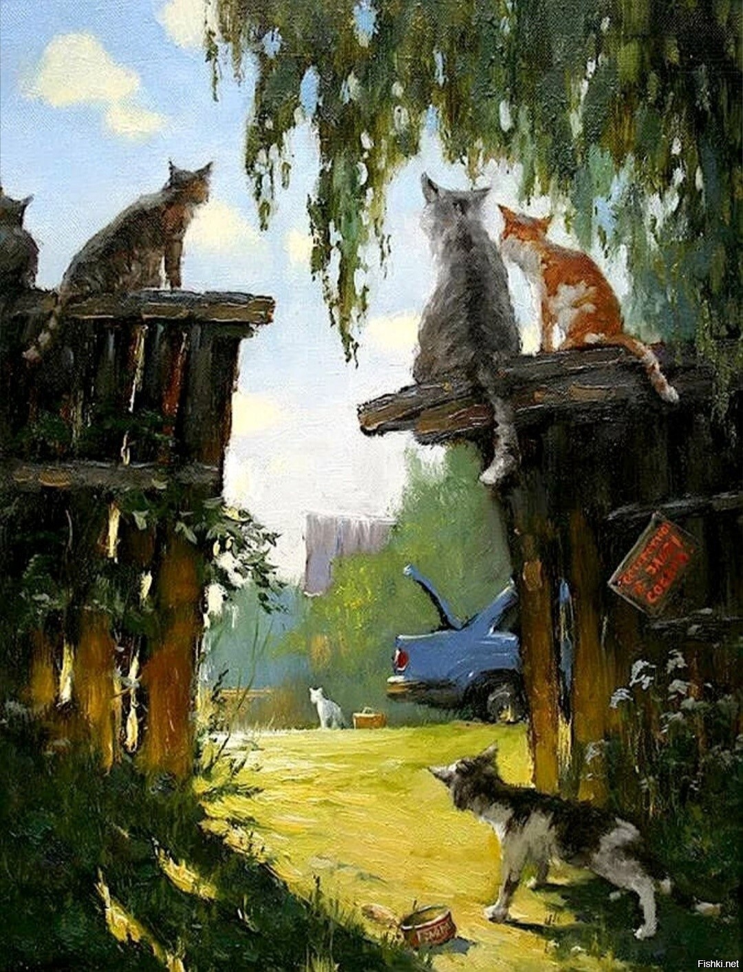 Солянка