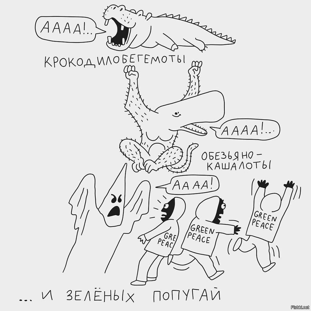 Солянка