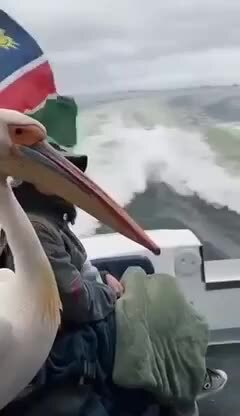 Все хотят на морской маршрутке прокатиться)