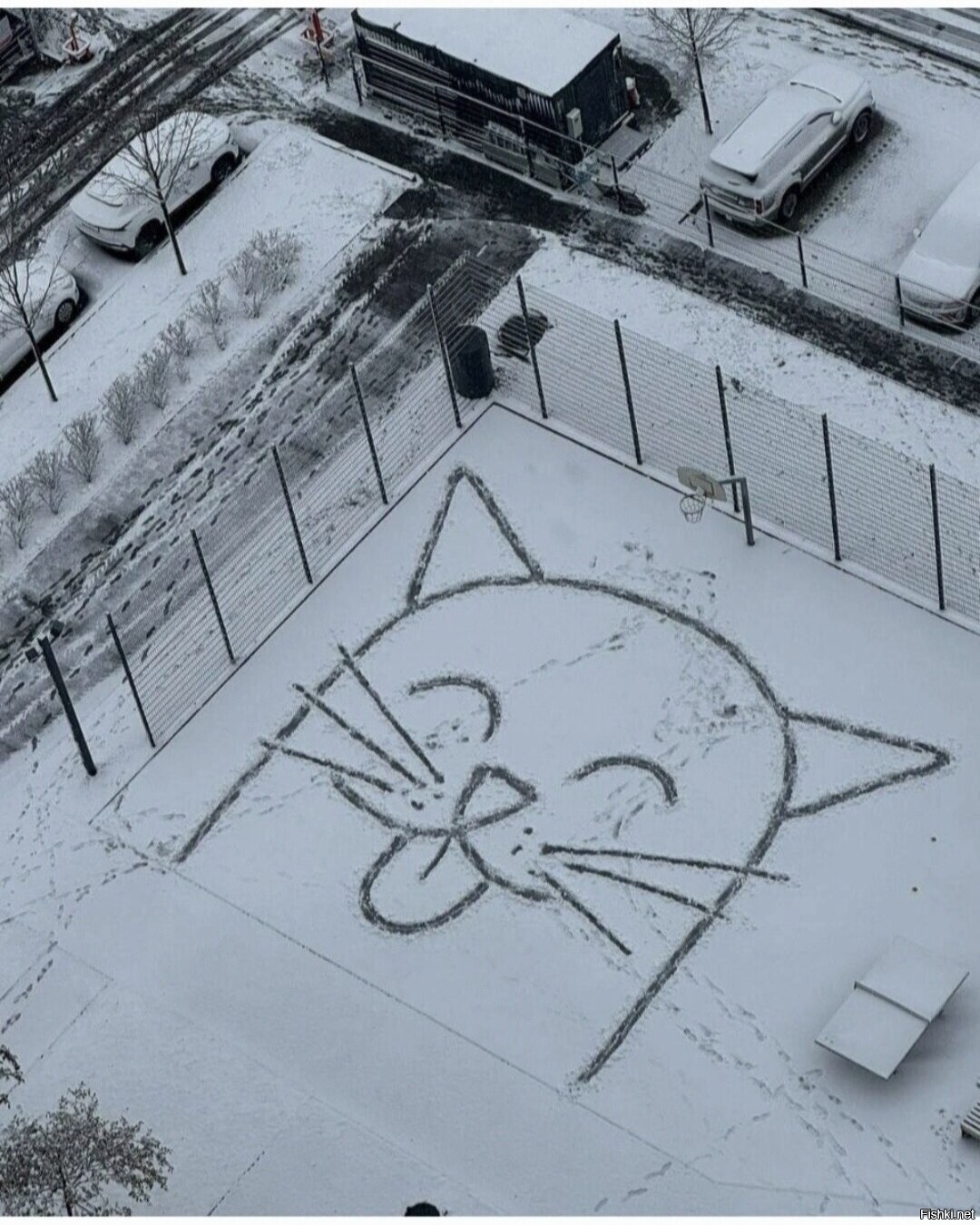 Солянка