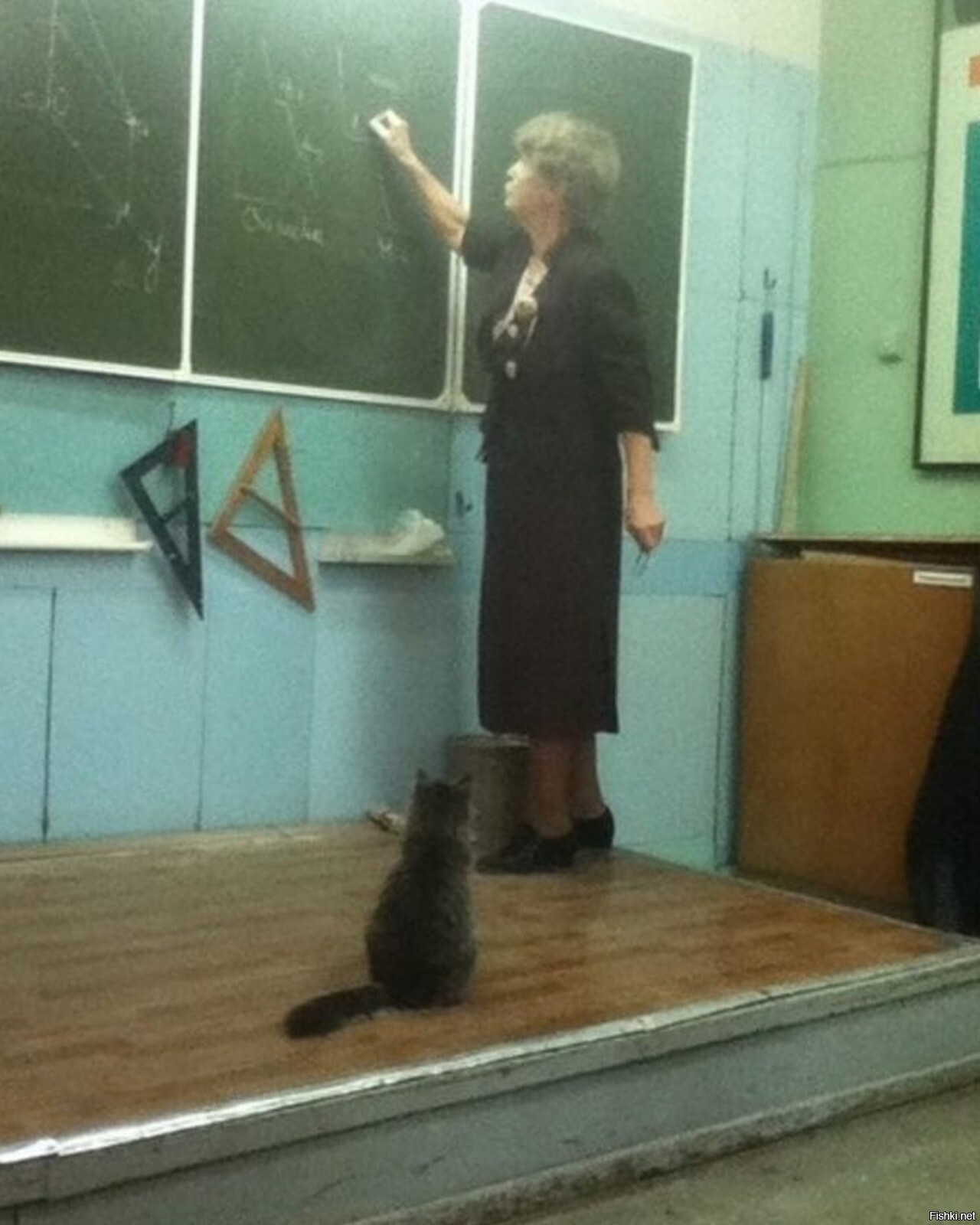 Солянка