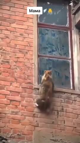 Мама всегда поможет