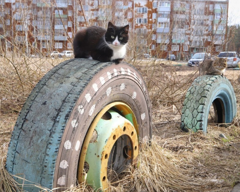 Всё вразнобой&nbsp;