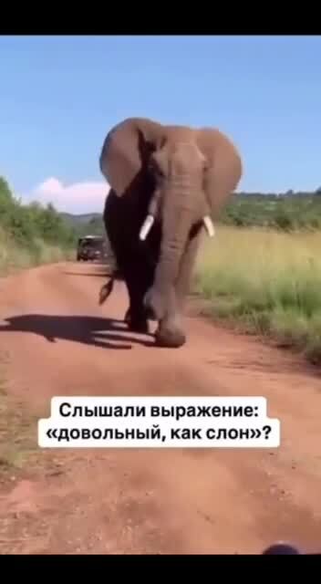 Реально довольный)