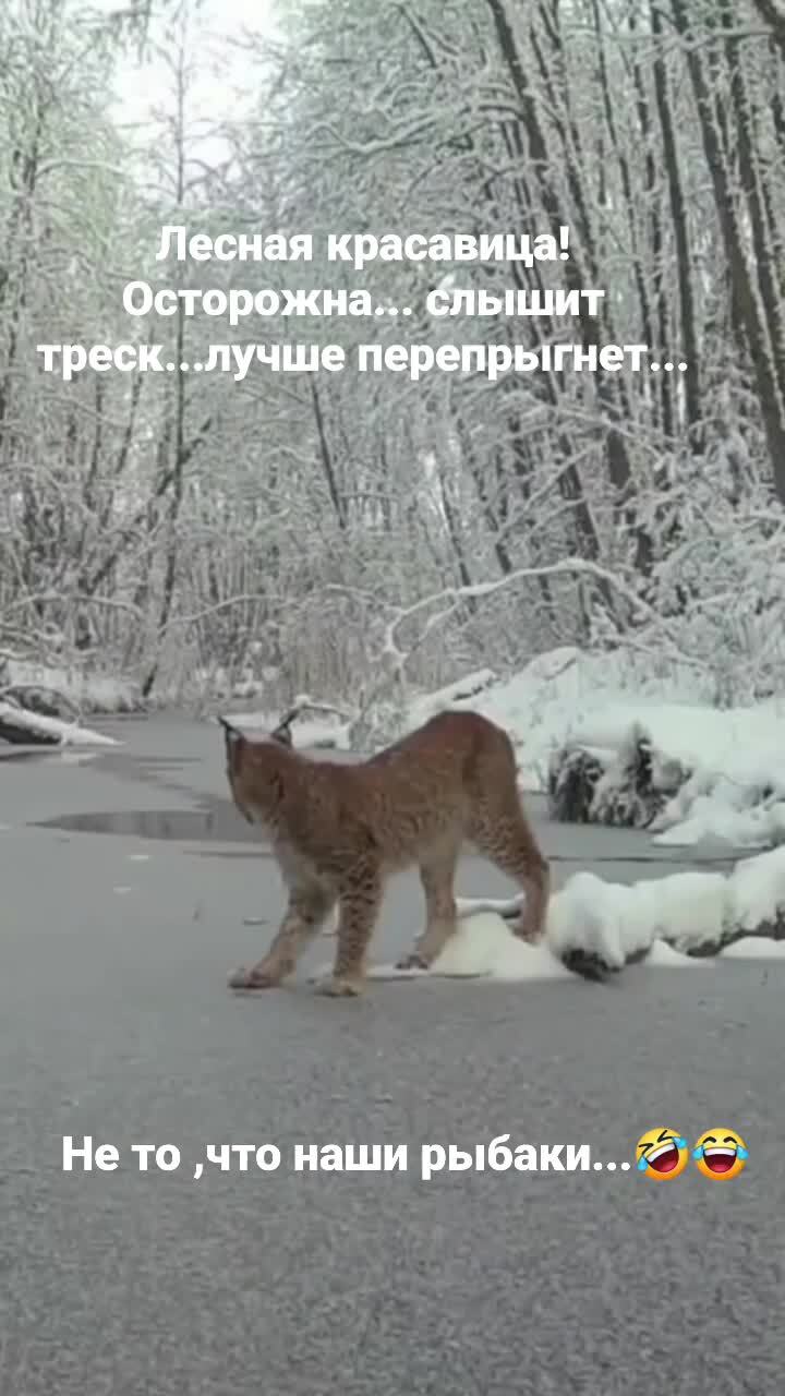 Предусмотрительная