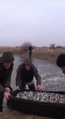Спасательная миссия