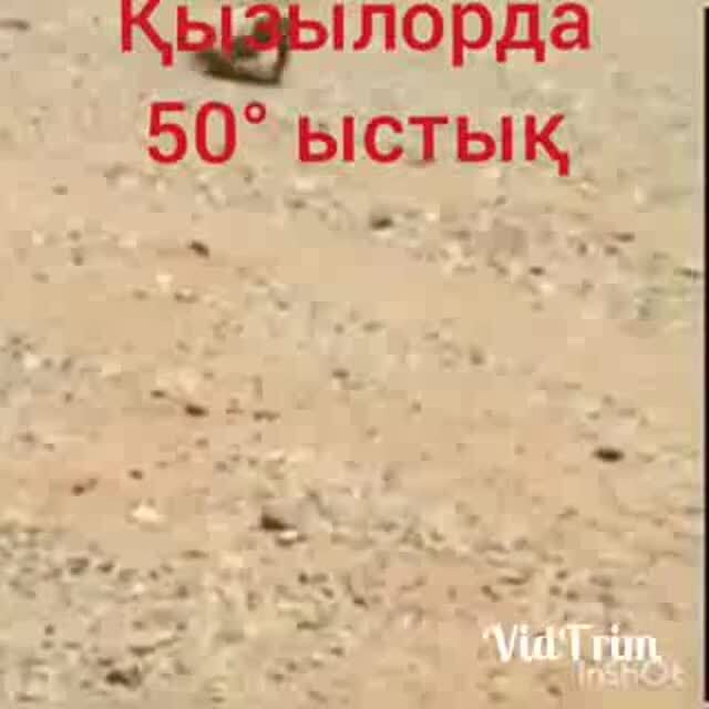 Спать