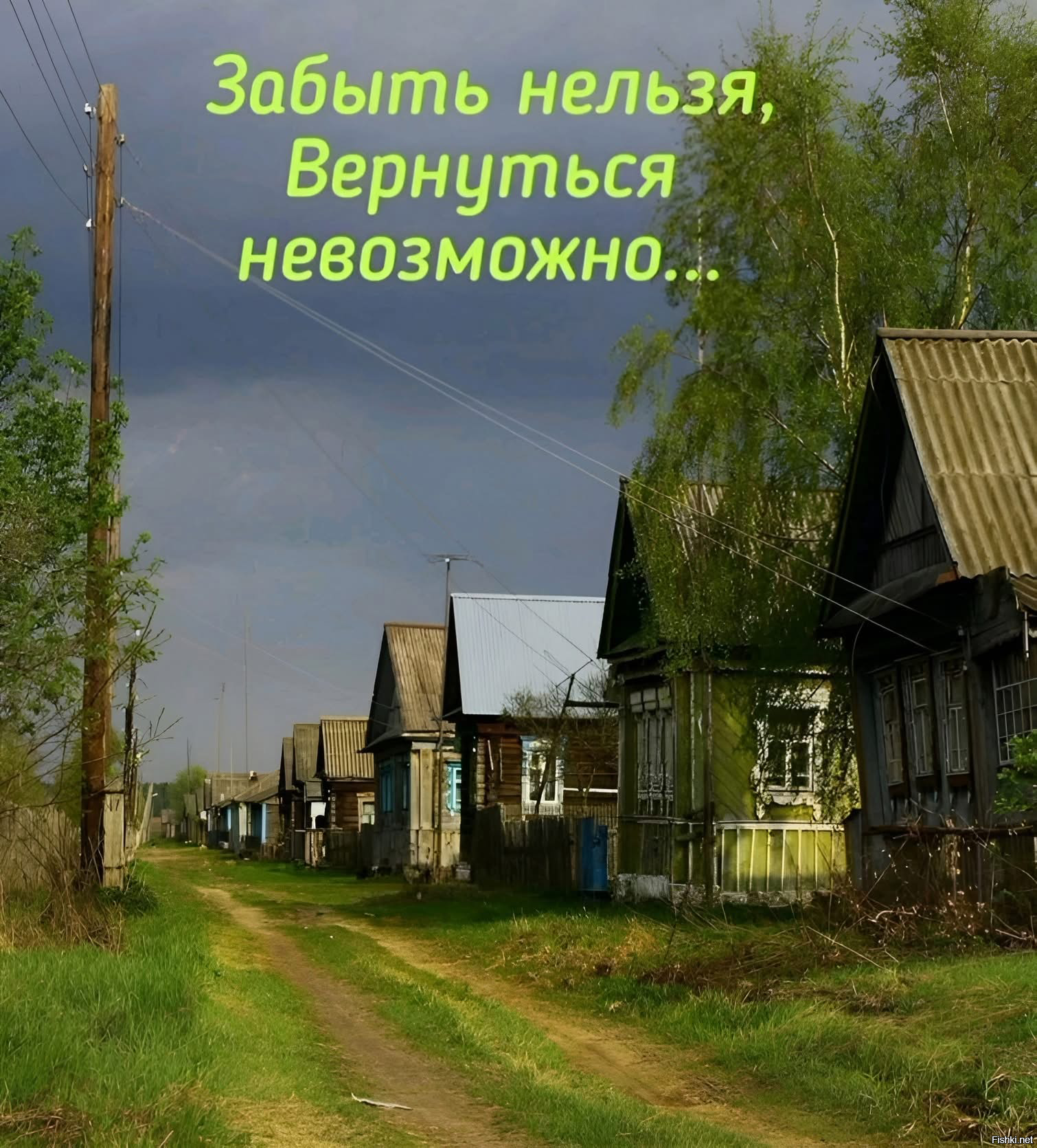 Солянка