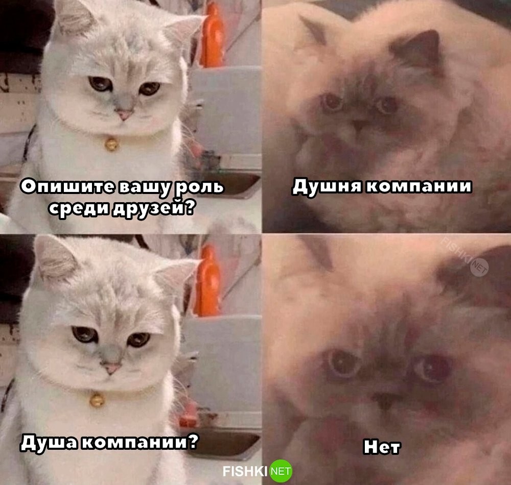 Улыбатор