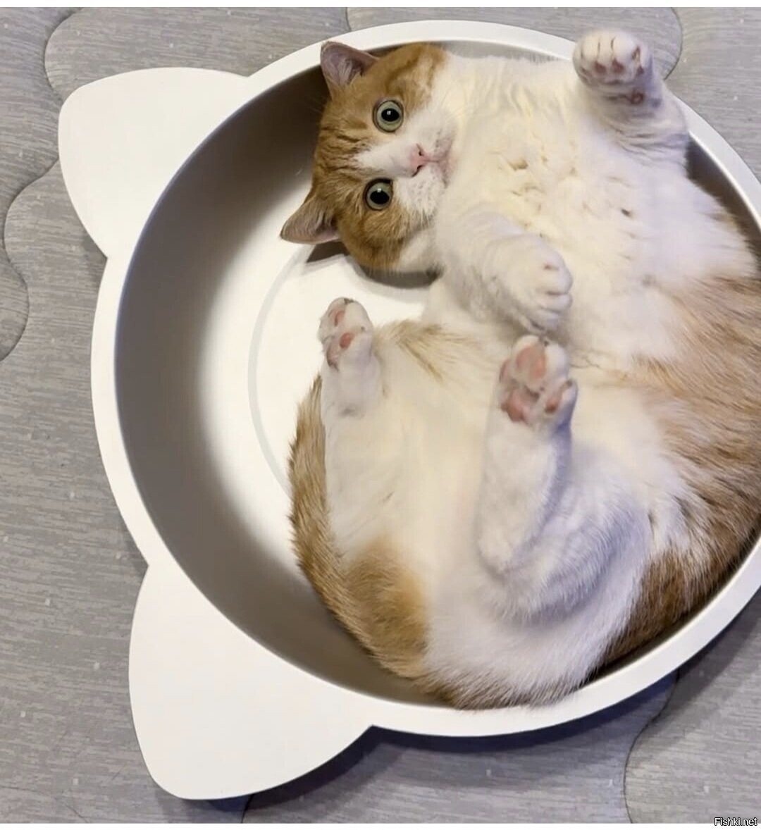 Солянка