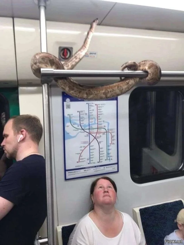 Питер