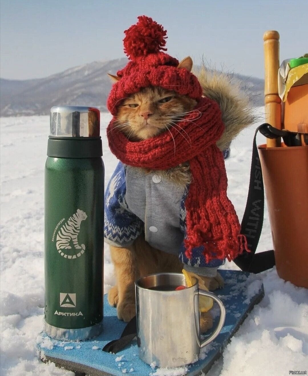 Доброе утро