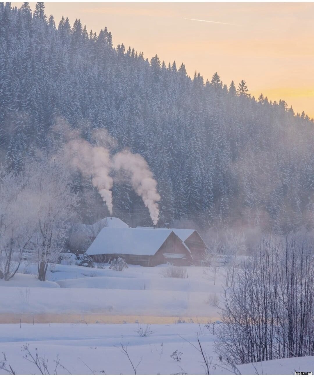 Солянка