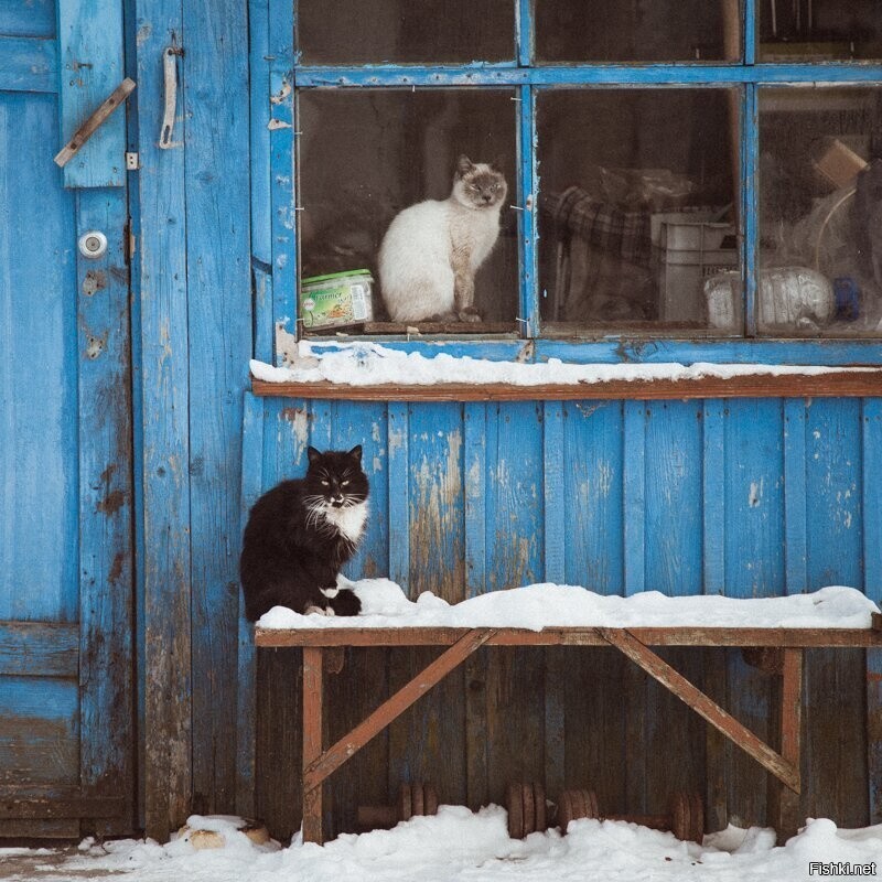 Солянка