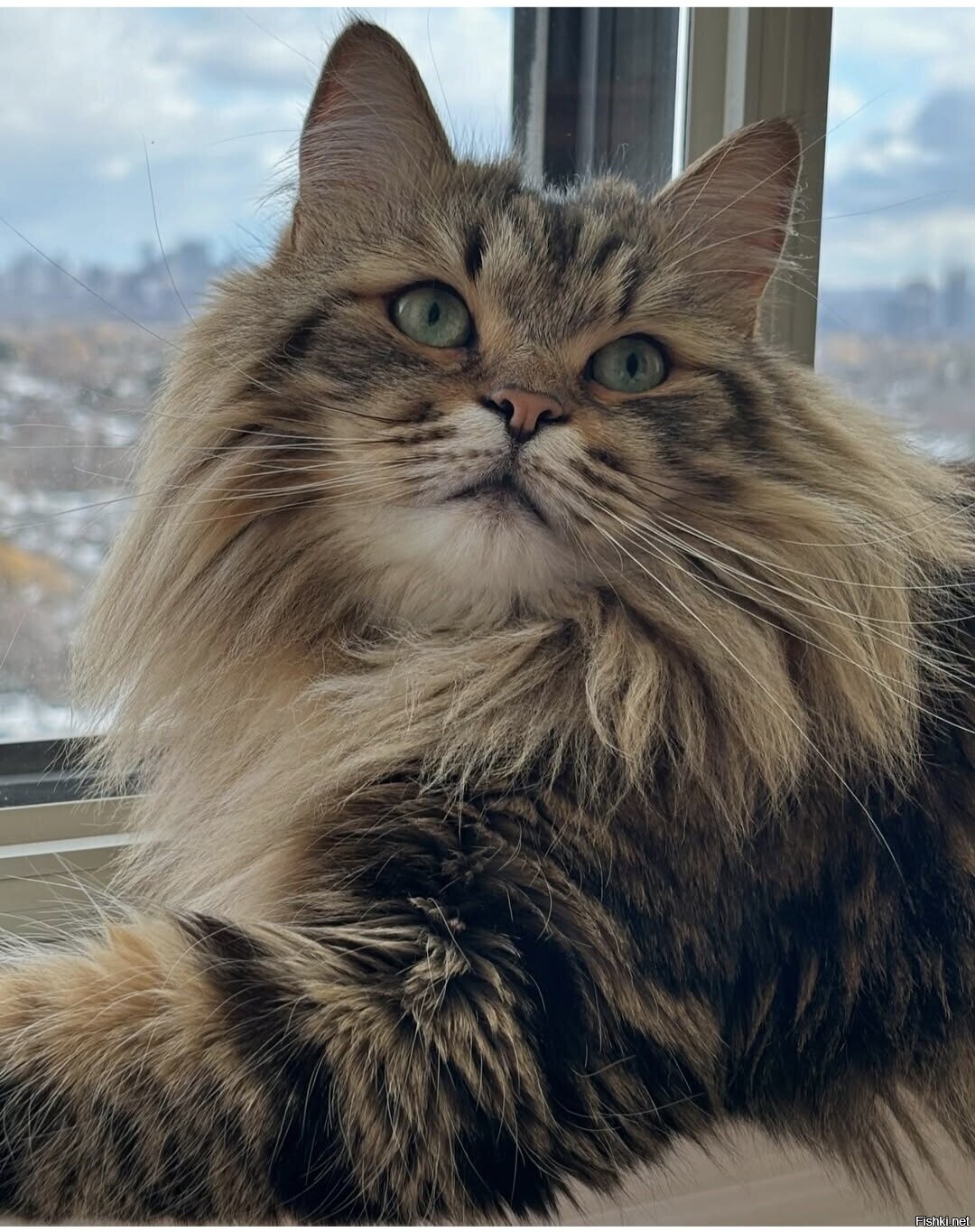 Солянка