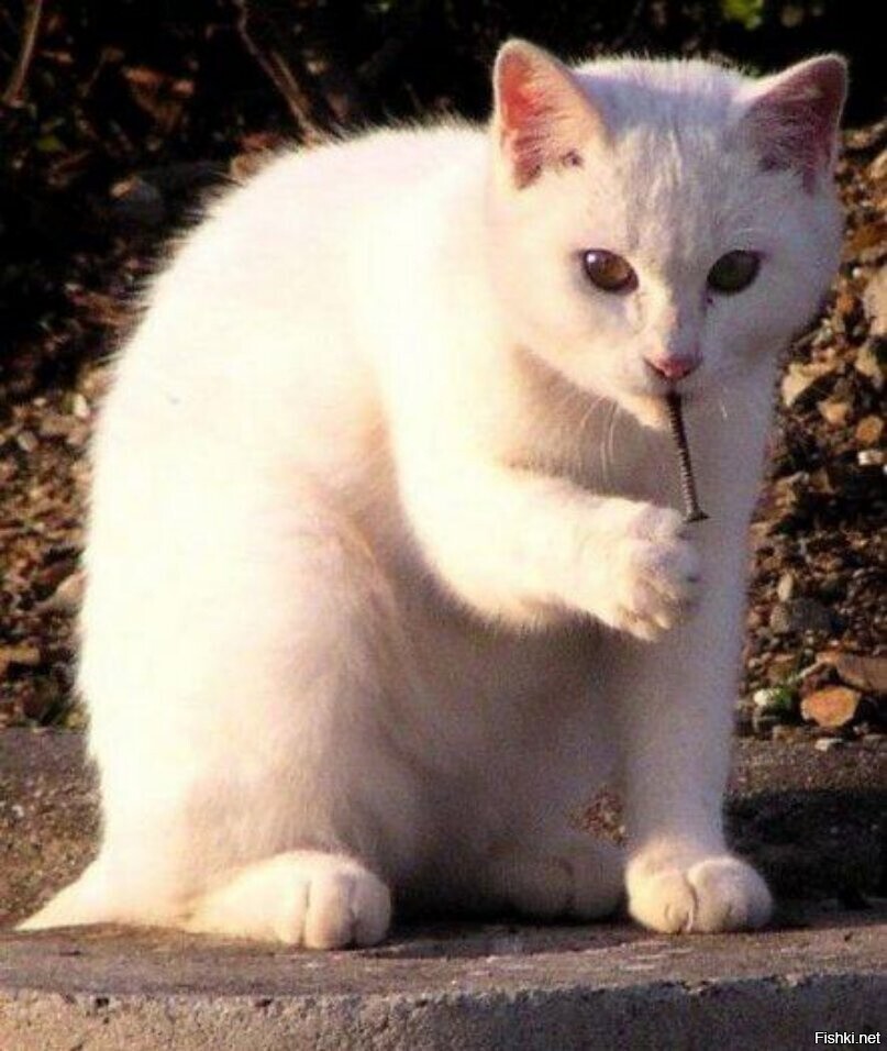 С понедельничком