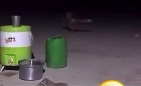 Солянка