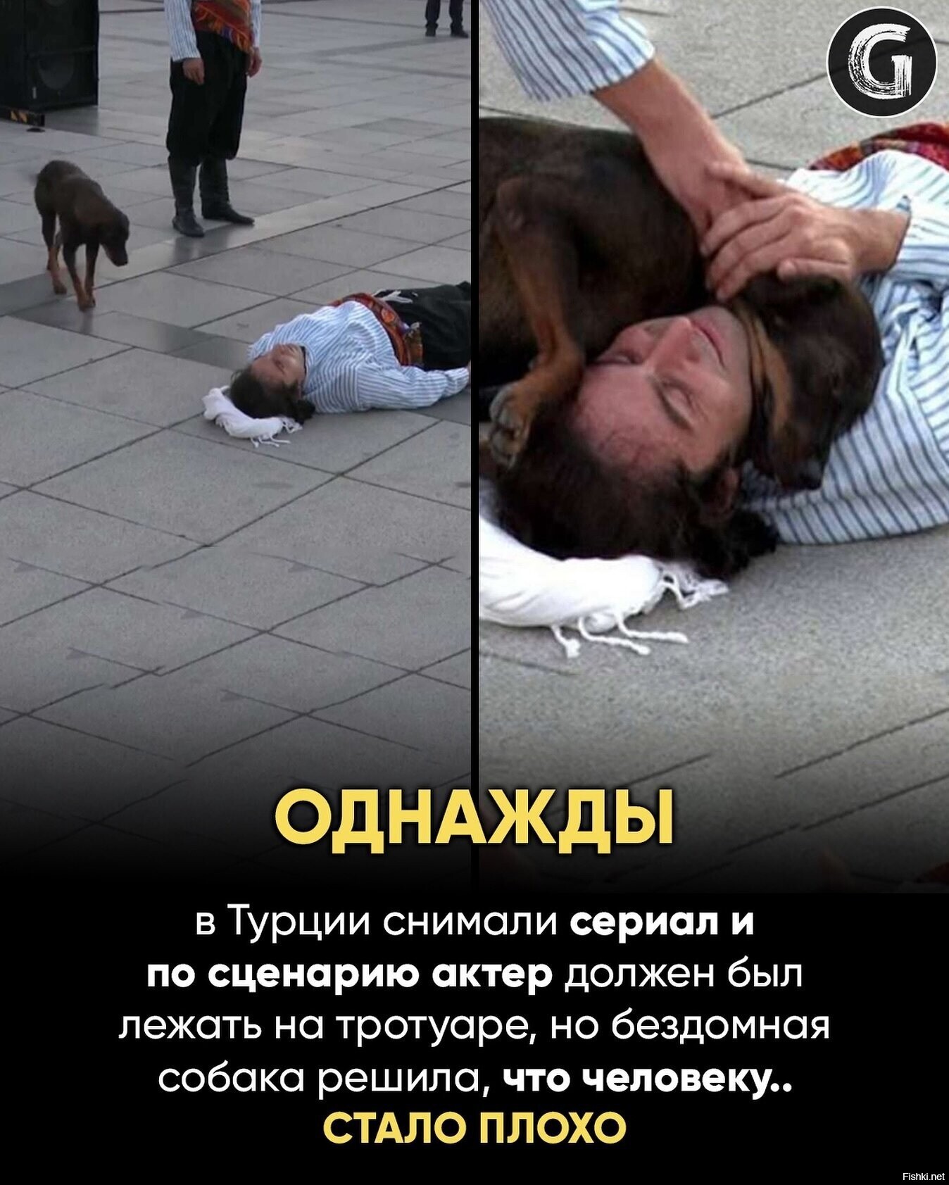 Солянка
