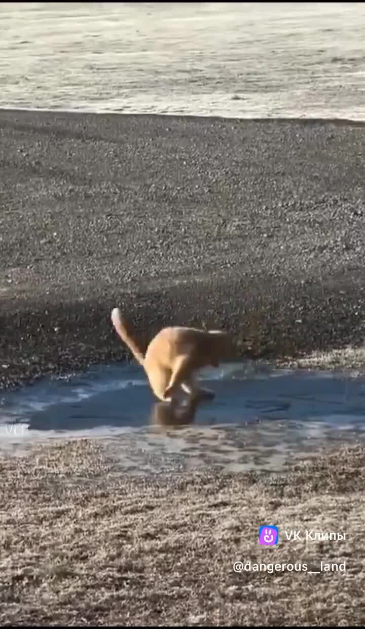 Ффффристайло