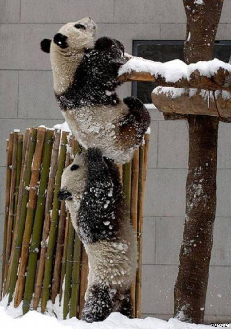 В гости к белке =)