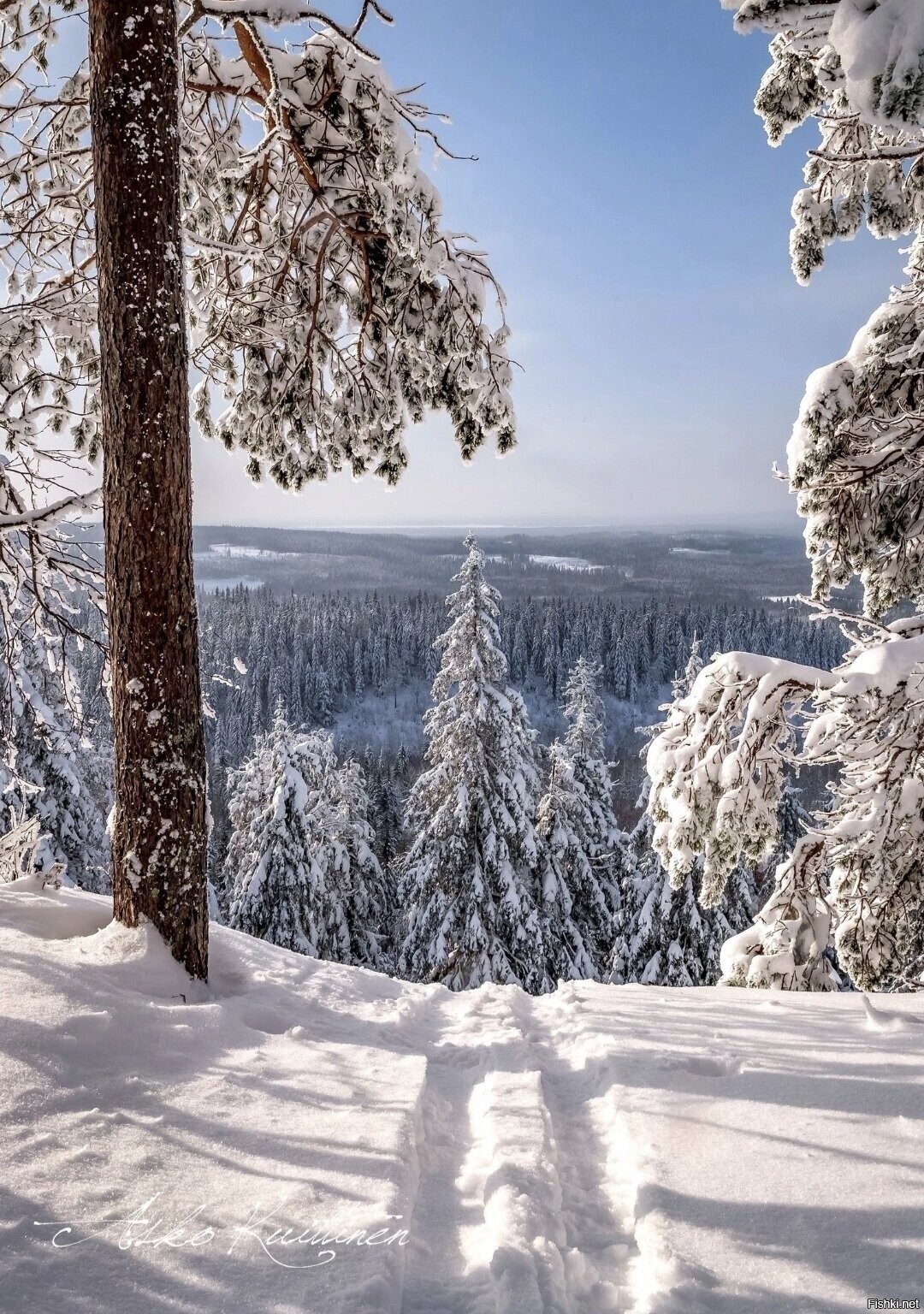 Солянка