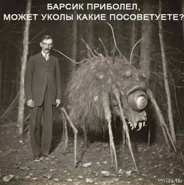 Солянка