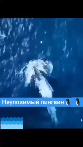 Красавчик вообще 
