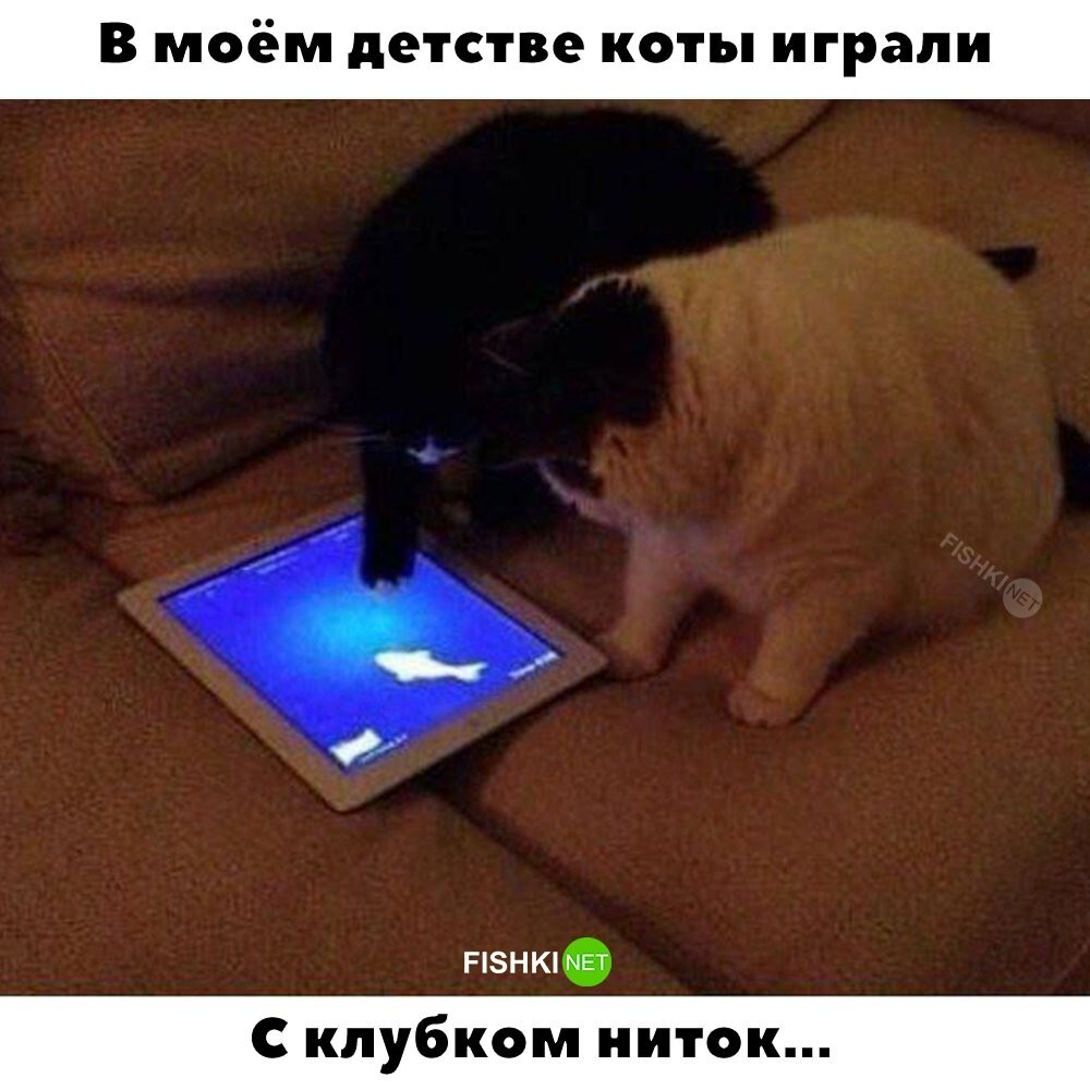 О времена, о нравы 