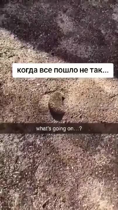 Опаньки