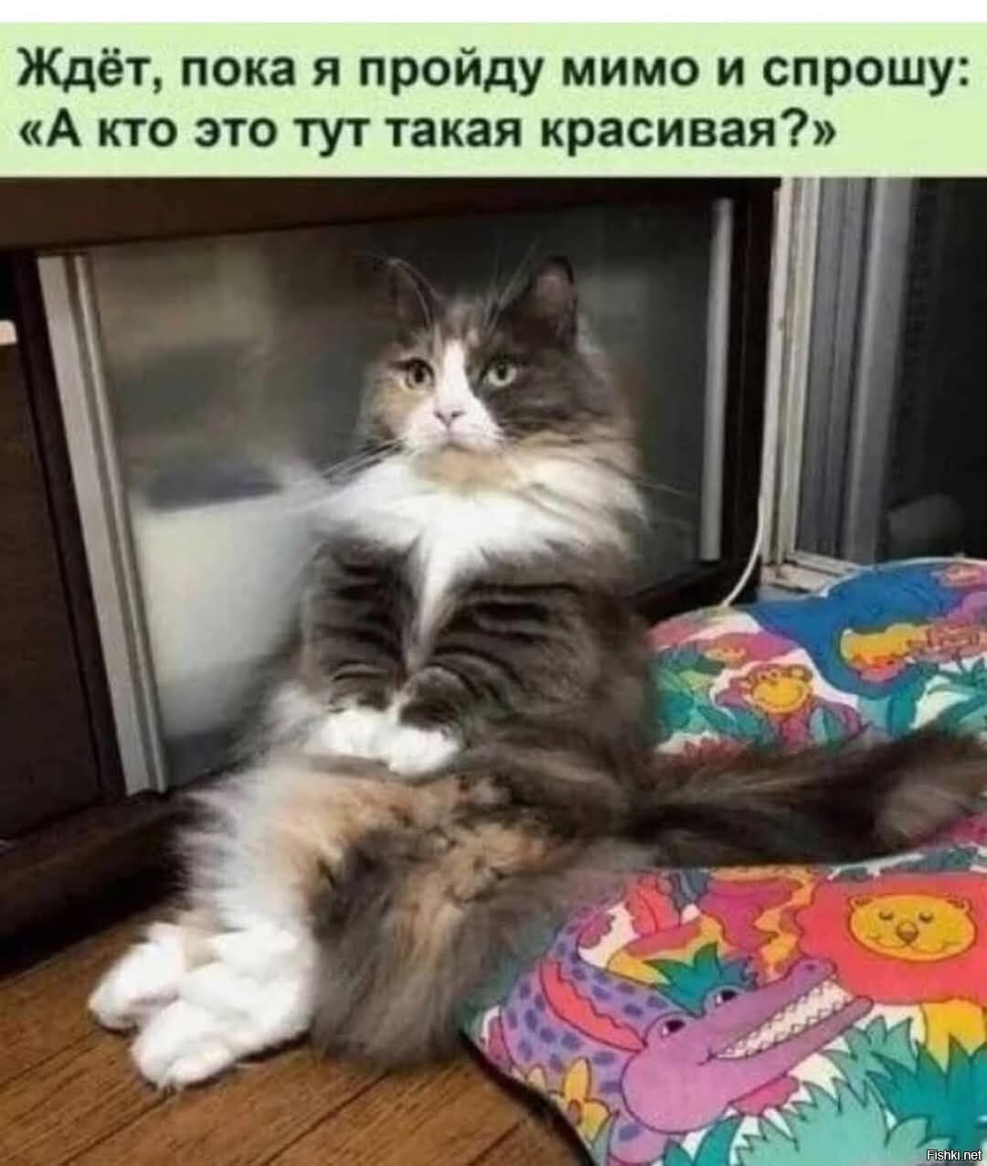 Солянка