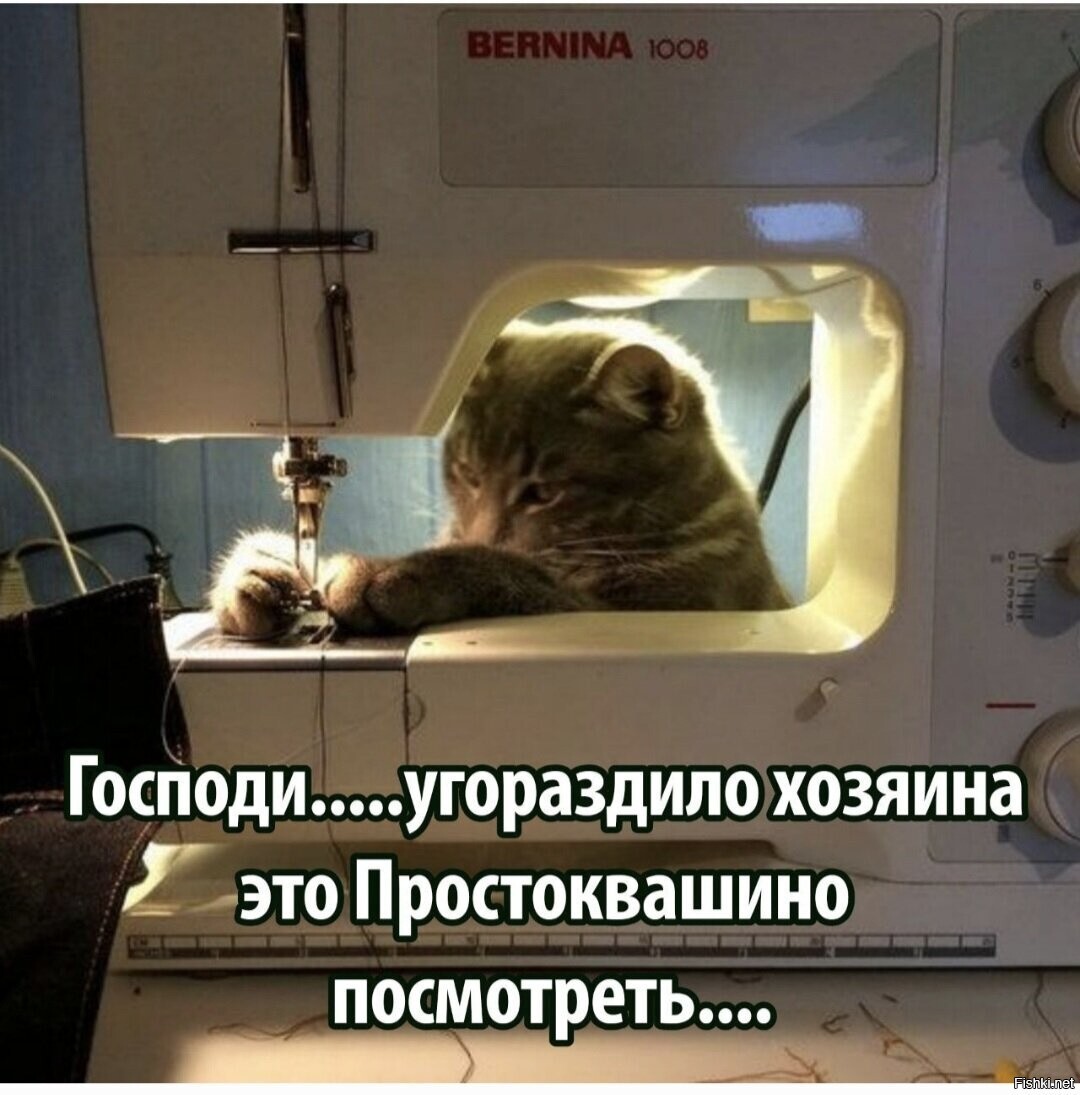 Доброе утро