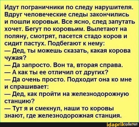 Солянка