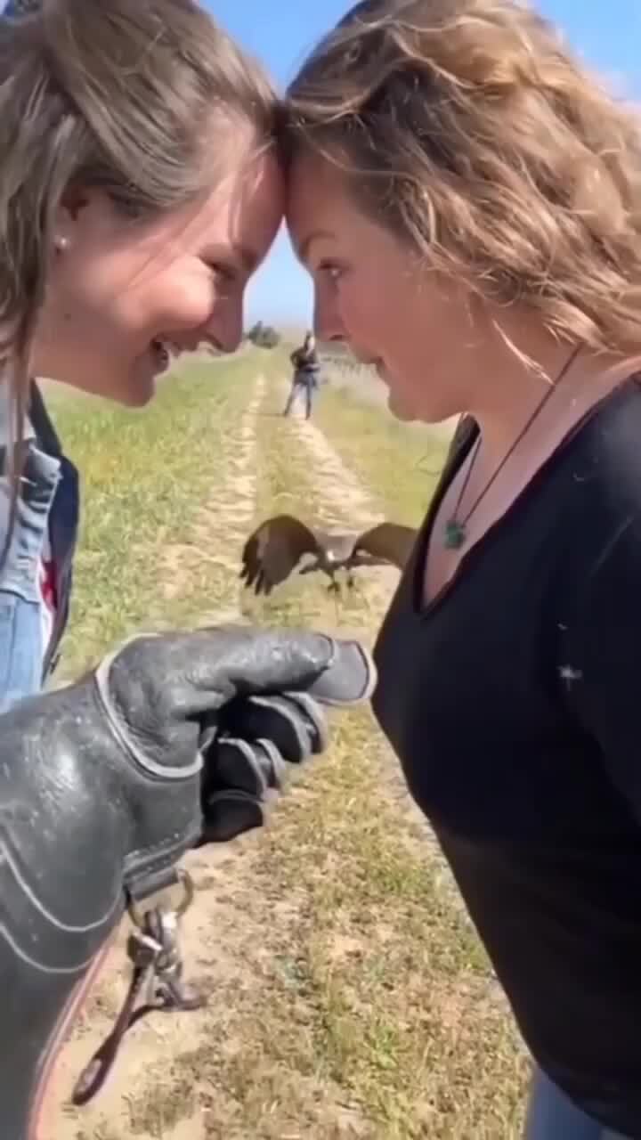 Красиво