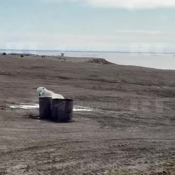 «Ты задолбал, ушёл отсюда