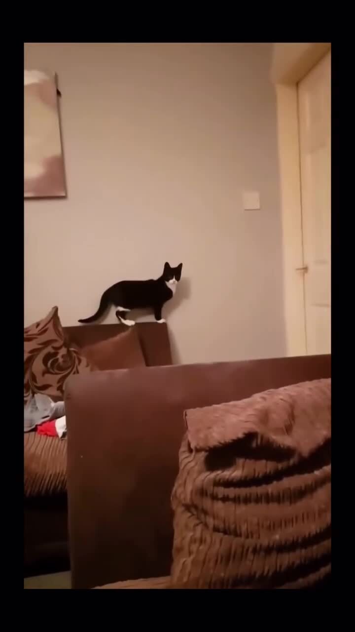 Очевидное невероятное)