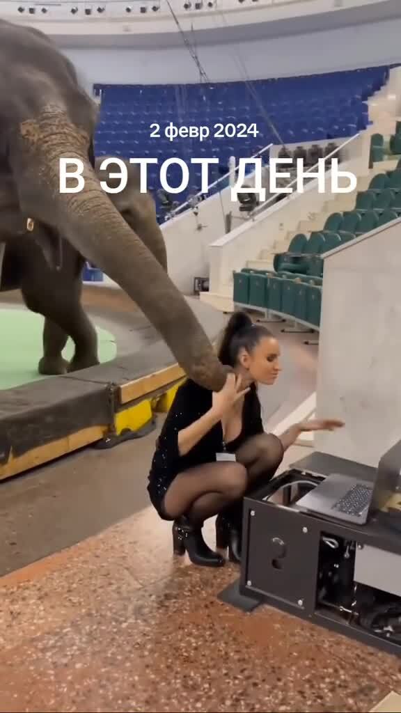 -Откуда засосы на шее