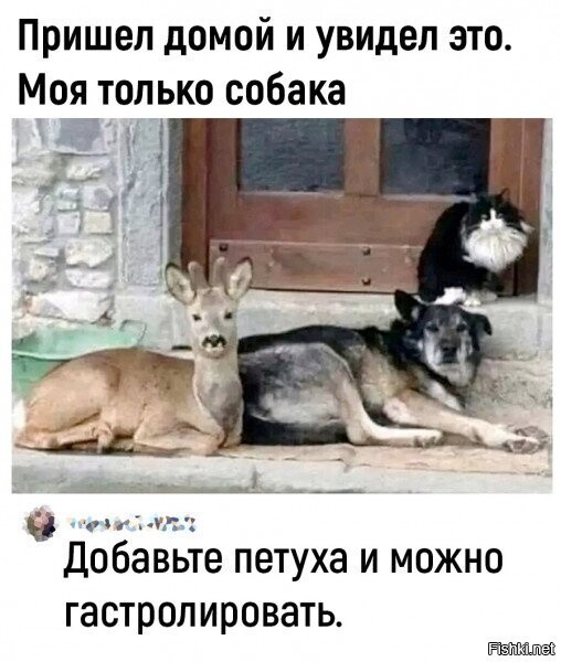 Солянка