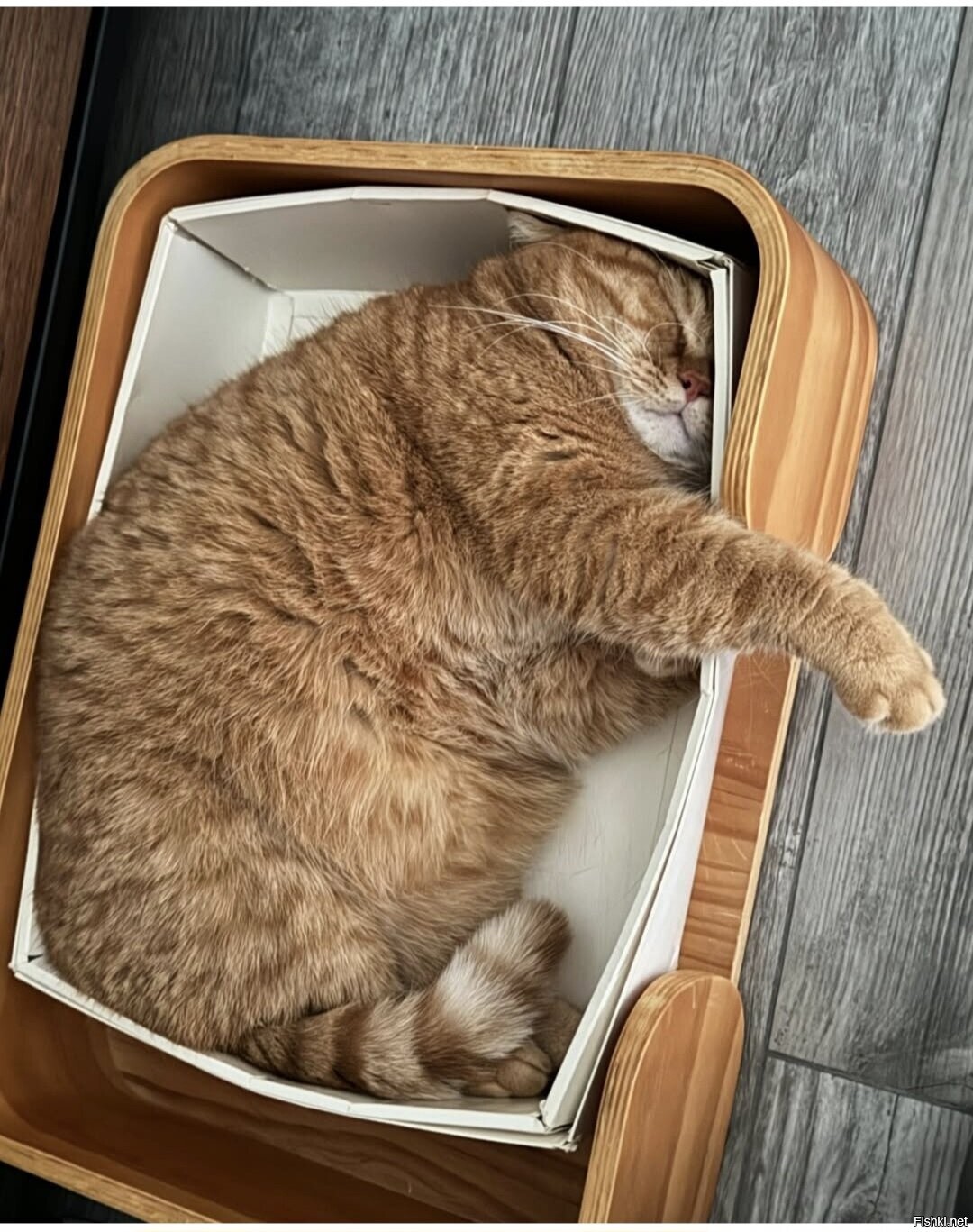 Солянка