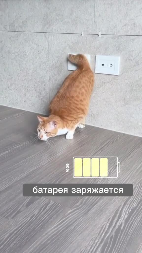 Быстрая зарядка)