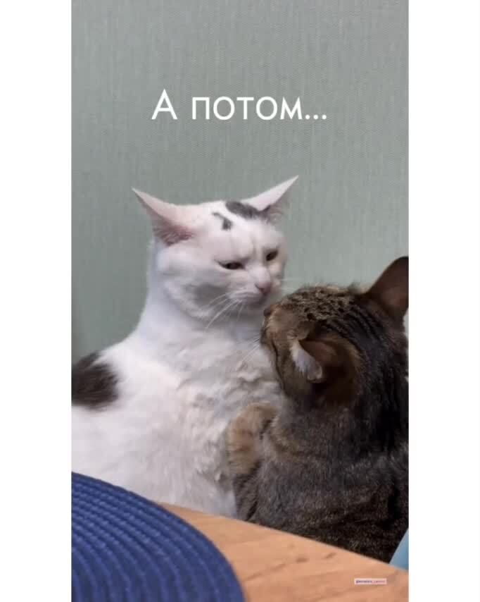 От любви до ненависти