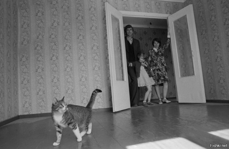 1975г