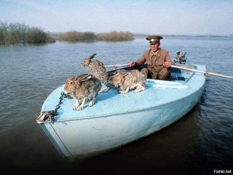 Весна
