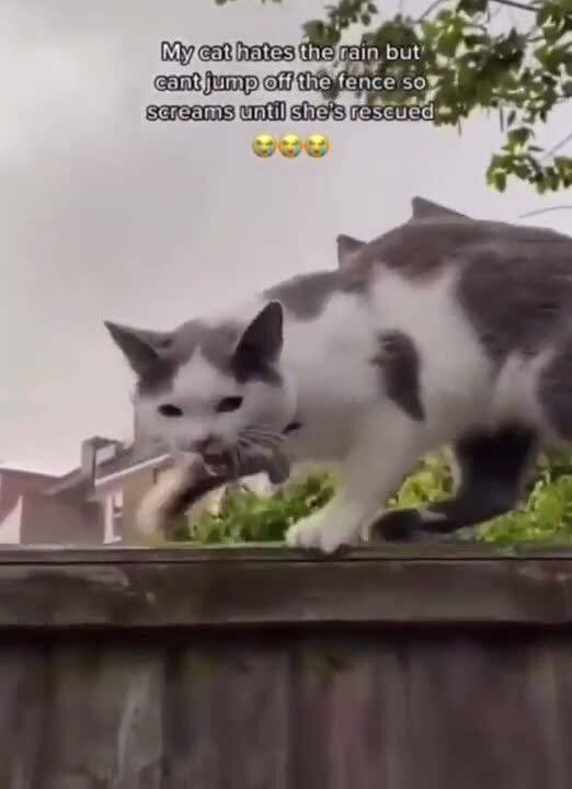 У природы нет плохой погоды